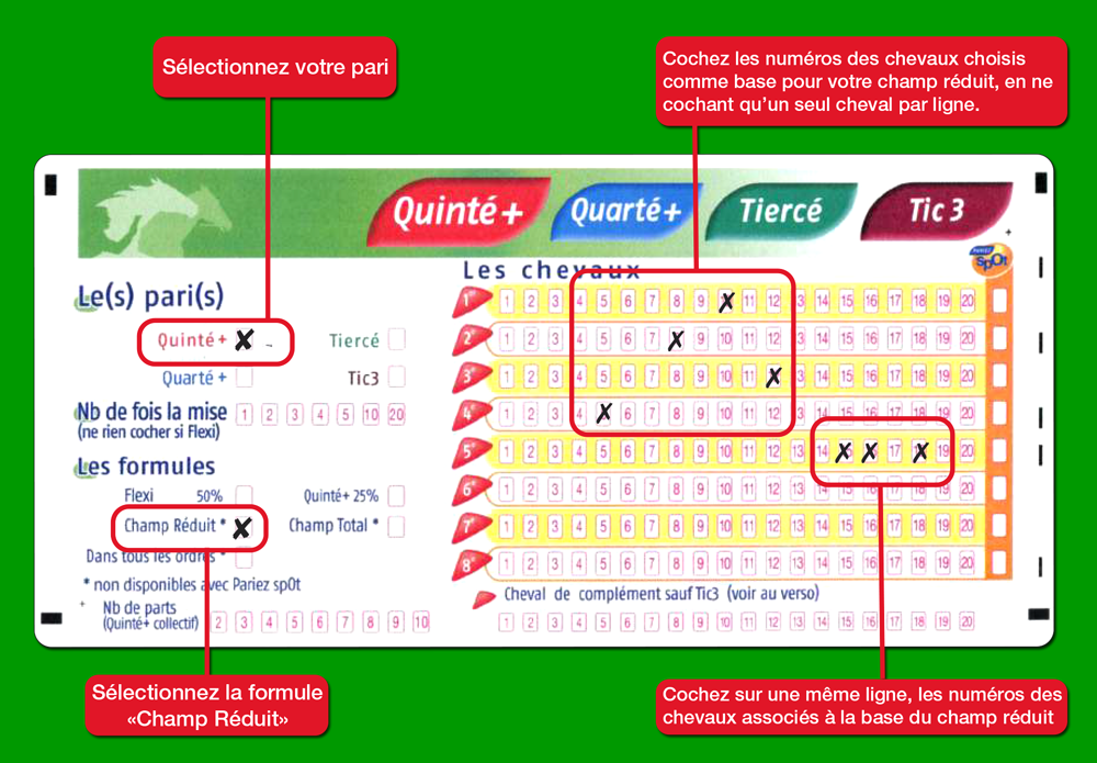 cham-reduit-guide2 exemple champ reduit quinté
