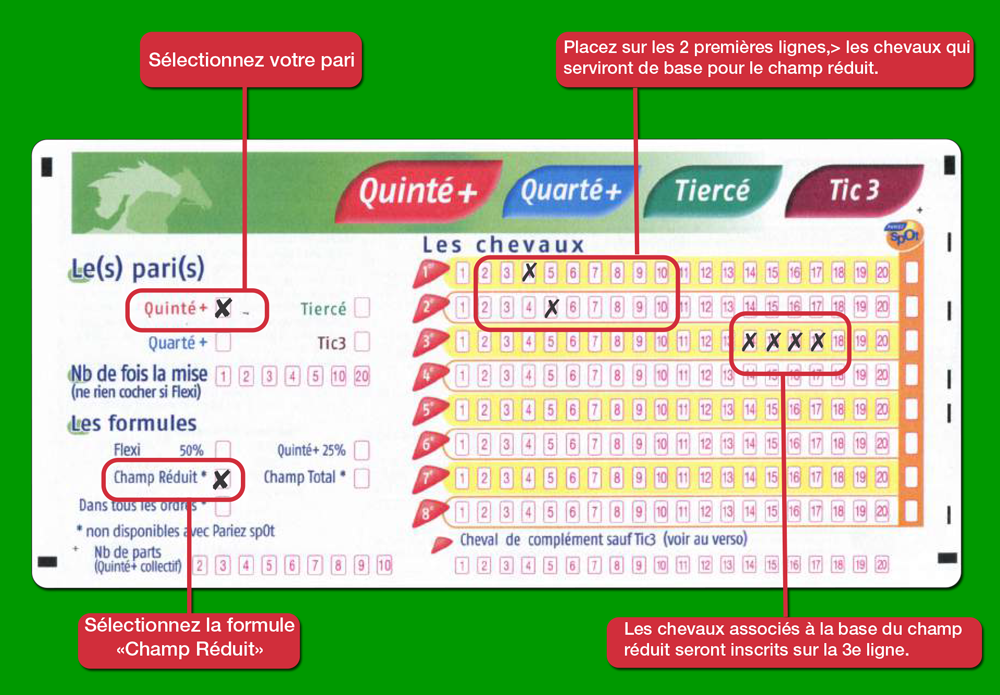 champ_reduit_special_ordre jeu spéculatif quinté ordre