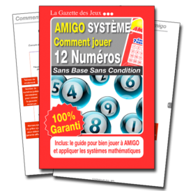système amigo 12 numéros