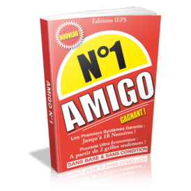 Les premiers systèmes 100% Amigo
