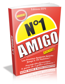 Les premiers systèmes 100% Amigo