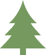 Mon beau sapin IEPS